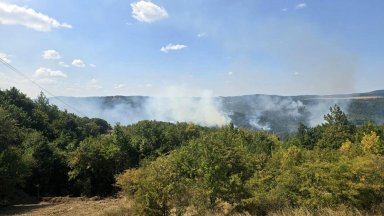 Кметът на Трявна след експлозията в "ЕМКО": Видяхме как един склад буквално изчезна