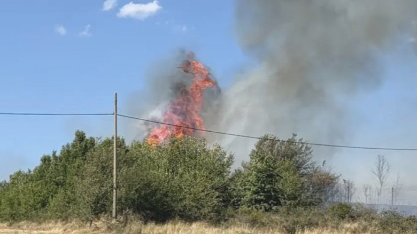 Пожарът в Дъбрава