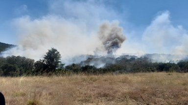 Пожари вилнеят в Тополовградско, Пазарджишко и Благоевградско, огънят атакува къщите (видео)