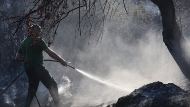 Пожари вилнеят в Тополовградско, Пазарджишко и Благоевградско, огънят атакува къщите (снимки/видео)