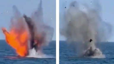 Румъния взриви дронове, носещи се по вода към газов обект в Черно море (видео)