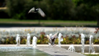Жега и днес: Жълт код за високи температури е обявен за цялата страна