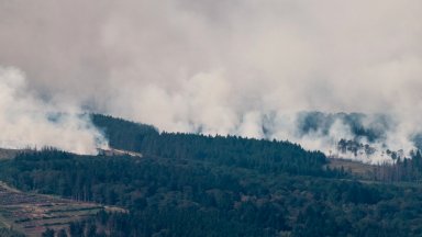 Белгия се бори с най-големия горски пожар в историята си, огънят отива към Германия (снимки)