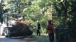 Стартира обновяването на парк-музей "Врана" (снимки)