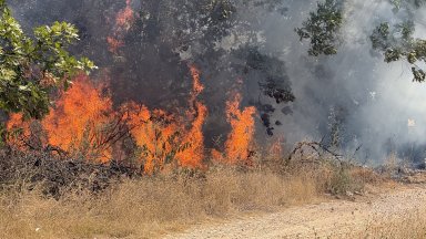 Пожарът в Хасковско се разраства, обхвана 5000 декара, огънят пълзи между две села (снимки)