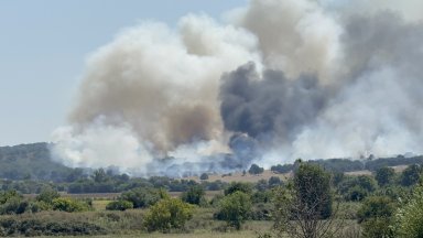 Пожарът край военния полигон "Корен" обхвана близо 10 000 декара  