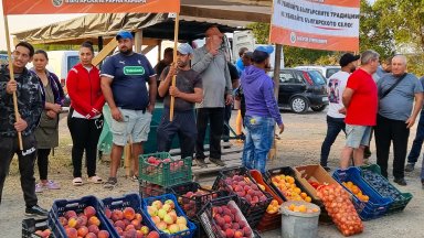 "Ножът е опрял до кокала": Производители на праскови блокираха пътя Сливен – Стара Загора