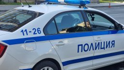 Откриха 8 куфара с разложени животински останки в изоставена сграда в Ловеч