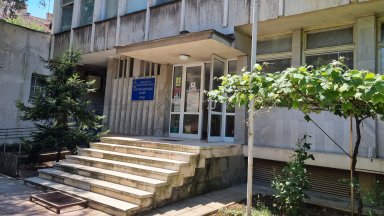 Четири домашни кучета нахапаха жестоко 7-годишно дете във Враца