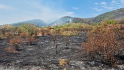 Пожарът край Димовци обхвана 2000 дка гора, огън бушува и под Царев връх в Рила (снимки)